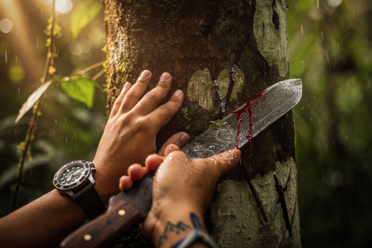 Dragon's Blood: The Myths, The Science, and The Real Story | Cold Sore Bomb